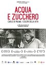 Acqua e zucchero: Carlo Di Palma, i colori della vita (2016)