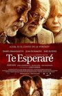 Te esperaré (2017)