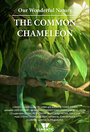 Смотреть «Our Wonderful Nature - The Common Chameleon» онлайн в хорошем качестве