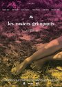 Смотреть «Les rosiers grimpants» онлайн фильм в хорошем качестве