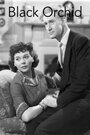 Black Orchid (1953) скачать бесплатно в хорошем качестве без регистрации и смс 1080p Black Orchid (1953) скачать бесплатно в хорошем качестве без регистрации и смс 1080p