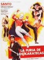 Смотреть «La furia de los karatecas» онлайн фильм в хорошем качестве