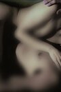 La noche de siempre (2005) скачать бесплатно в хорошем качестве без регистрации и смс 1080p La noche de siempre (2005) скачать бесплатно в хорошем качестве без регистрации и смс 1080p