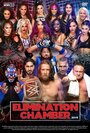 WWE Камера ликвидации (2019)