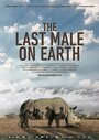 Смотреть «Last Male Standing» онлайн фильм в хорошем качестве