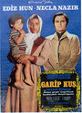 Garip kus (1974) кадры фильма смотреть онлайн в хорошем качестве