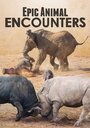 Epic Animal Encounters (2019) скачать бесплатно в хорошем качестве без регистрации и смс 1080p