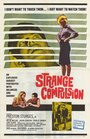 Strange Compulsion (1964) кадры фильма смотреть онлайн в хорошем качестве