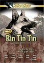 The Return of Rin Tin Tin (1947) кадры фильма смотреть онлайн в хорошем качестве