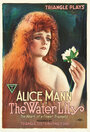 The Water Lily (1919) скачать бесплатно в хорошем качестве без регистрации и смс 1080p The Water Lily (1919) скачать бесплатно в хорошем качестве без регистрации и смс 1080p