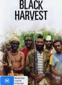 Black Harvest (1992) трейлер фильма в хорошем качестве 1080p