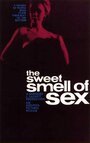 Sweet Smell of Sex (1965) кадры фильма смотреть онлайн в хорошем качестве