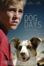 Dog Days (2004) скачать бесплатно в хорошем качестве без регистрации и смс 1080p