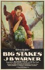 Big Stakes (1922) скачать бесплатно в хорошем качестве без регистрации и смс 1080p