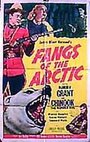 Fangs of the Arctic (1953) скачать бесплатно в хорошем качестве без регистрации и смс 1080p