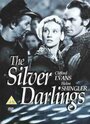 Смотреть «The Silver Darlings» онлайн фильм в хорошем качестве