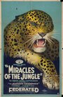 Miracles of the Jungle (1921) кадры фильма смотреть онлайн в хорошем качестве