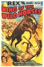 Смотреть «The King of Wild Horses» онлайн фильм в хорошем качестве