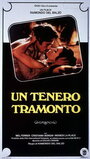 Un tenero tramonto (1984) скачать бесплатно в хорошем качестве без регистрации и смс 1080p