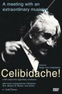 Celibidache (1992) кадры фильма смотреть онлайн в хорошем качестве