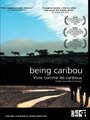 Being Caribou (2005)