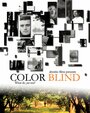 Color Blind (2002) скачать бесплатно в хорошем качестве без регистрации и смс 1080p