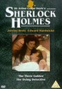The Dying Detective (1921) скачать бесплатно в хорошем качестве без регистрации и смс 1080p The Dying Detective (1921) скачать бесплатно в хорошем качестве без регистрации и смс 1080p