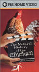 The Natural History of the Chicken (2000)