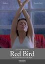 Смотреть «Red Bird» онлайн фильм в хорошем качестве