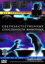 Смотреть «BBC: Сверхъестественные способности животных» онлайн фильм в хорошем качестве