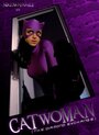 Catwoman: The Diamond Exchange (2006) кадры фильма смотреть онлайн в хорошем качестве