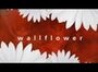 Wallflower (2006) трейлер фильма в хорошем качестве 1080p