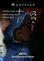 Magician (2006) скачать бесплатно в хорошем качестве без регистрации и смс 1080p Magician (2006) скачать бесплатно в хорошем качестве без регистрации и смс 1080p