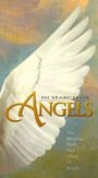 Смотреть «In Search of Angels» онлайн фильм в хорошем качестве