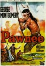 Pawnee (1957) кадры фильма смотреть онлайн в хорошем качестве