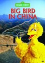 Смотреть «Big Bird in China» онлайн фильм в хорошем качестве