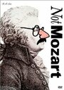 Not Mozart: Letters, Riddles and Writs (1991) кадры фильма смотреть онлайн в хорошем качестве