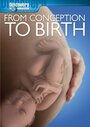 From Conception to Birth (2005) скачать бесплатно в хорошем качестве без регистрации и смс 1080p