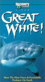 Смотреть «Great White» онлайн фильм в хорошем качестве