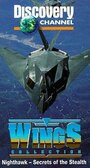 Nighthawk: Secrets of the Stealth (1992) кадры фильма смотреть онлайн в хорошем качестве