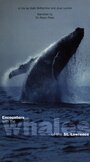 Rencontres avec les baleines du Saint-Laurent (1998) трейлер фильма в хорошем качестве 1080p