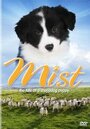 Mist: The Tale of a Sheepdog Puppy (2006) кадры фильма смотреть онлайн в хорошем качестве