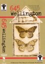 645 Wellington (2002) скачать бесплатно в хорошем качестве без регистрации и смс 1080p