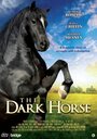 The Dark Horse (2008) трейлер фильма в хорошем качестве 1080p