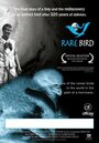 Смотреть «Rare Bird» онлайн фильм в хорошем качестве