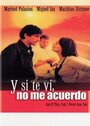 Y si te vi, no me acuerdo (1999)