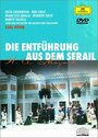 Die Entführung aus dem Serail (1980) скачать бесплатно в хорошем качестве без регистрации и смс 1080p