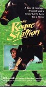 The Rogue Stallion (1990)