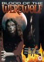 Blood of the Werewolf (2001) скачать бесплатно в хорошем качестве без регистрации и смс 1080p Blood of the Werewolf (2001) скачать бесплатно в хорошем качестве без регистрации и смс 1080p