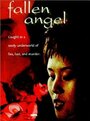 Fallen Angel (1997) скачать бесплатно в хорошем качестве без регистрации и смс 1080p